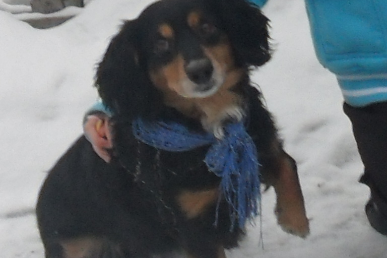 Snímek 026
