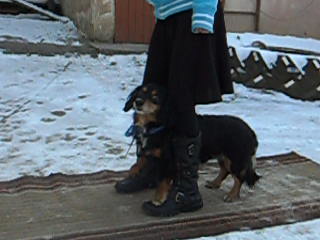 Snímek 028